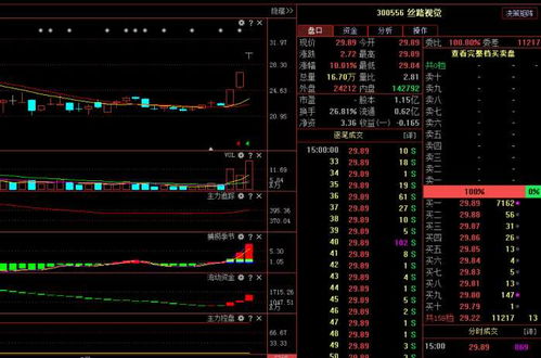 絲路視覺(jué)（300556） 主力悄然布局，計(jì)算機(jī)軟硬件業(yè)務(wù)驅(qū)動(dòng)下未來(lái)走勢(shì)深度解析